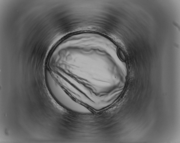 X0000095130792200801041245