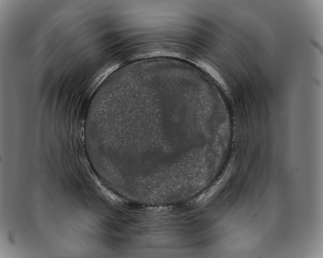 X0000095130793200801041245