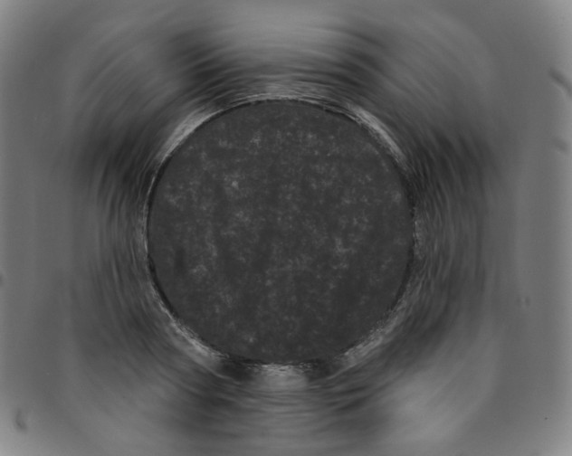 X0000095130794200801041245