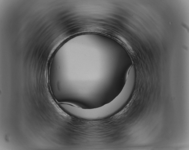 X0000095130796200801041245