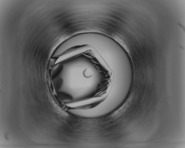 X0000095130797200801041245