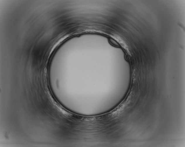 X0000095130798200801041245