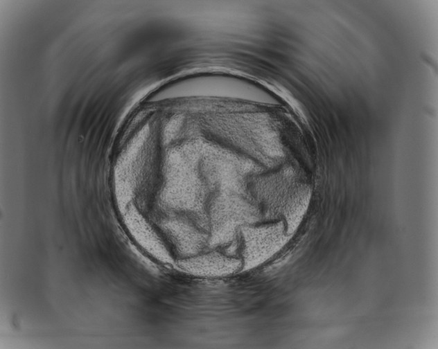 X0000095130799200801041245