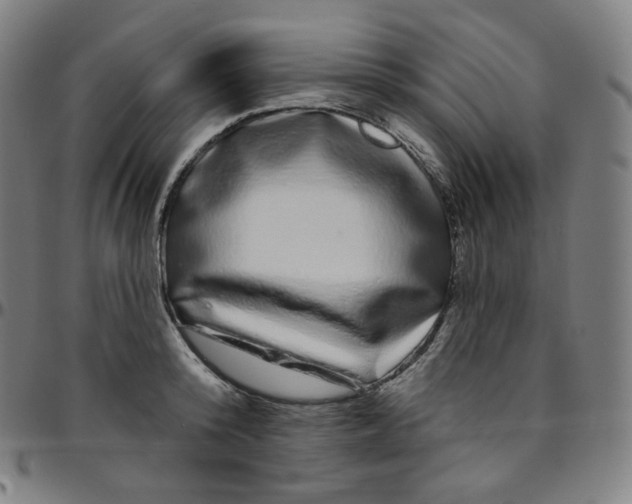 X0000095130800200801041245