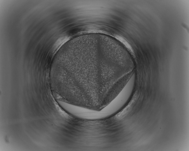 X0000095130801200801041245