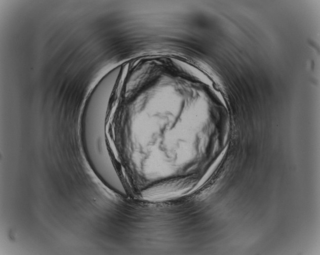 X0000095130803200801041245