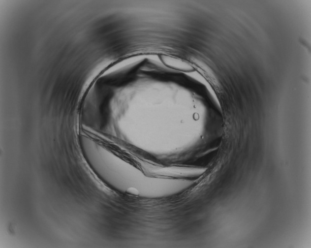 X0000095130804200801041245