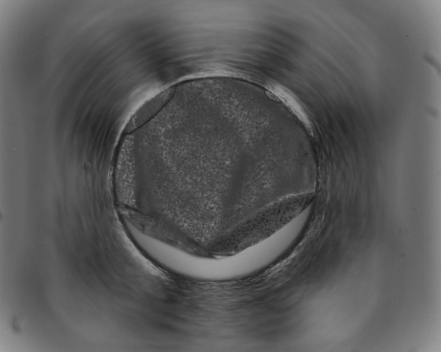 X0000095130805200801041245