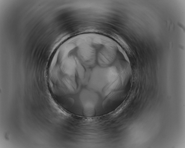 X0000095130806200801041245