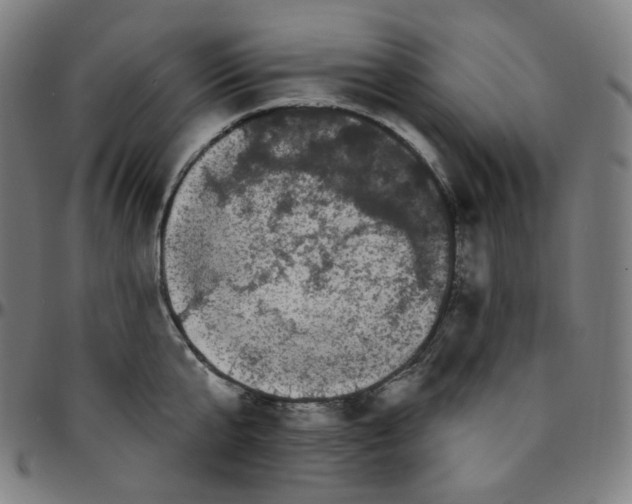 X0000095130807200801041245