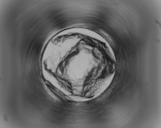 X0000095130808200801041245