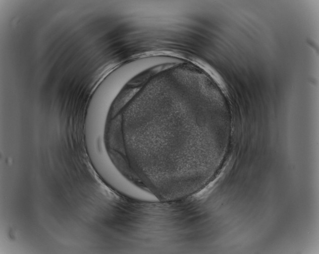 X0000095130809200801041245