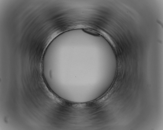 X0000095130810200801041245