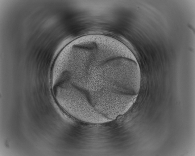 X0000095130811200801041245