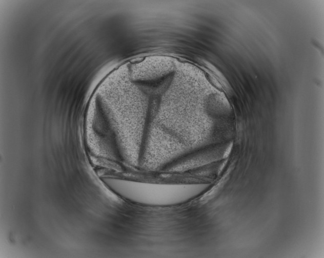 X0000095130812200801041245