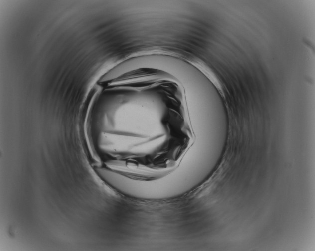 X0000095130813200801041245