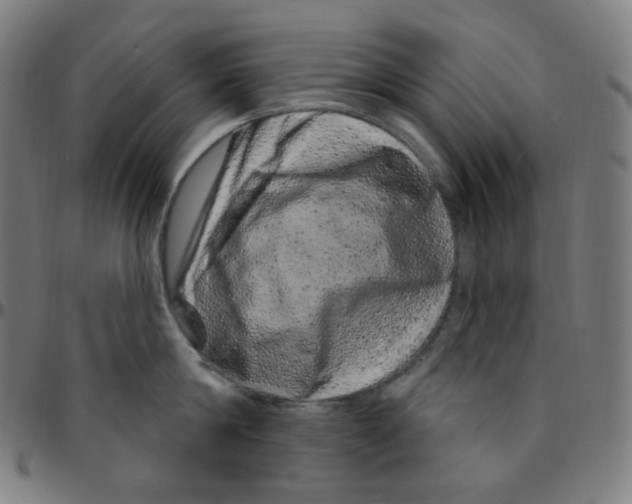 X0000095130814200801041245