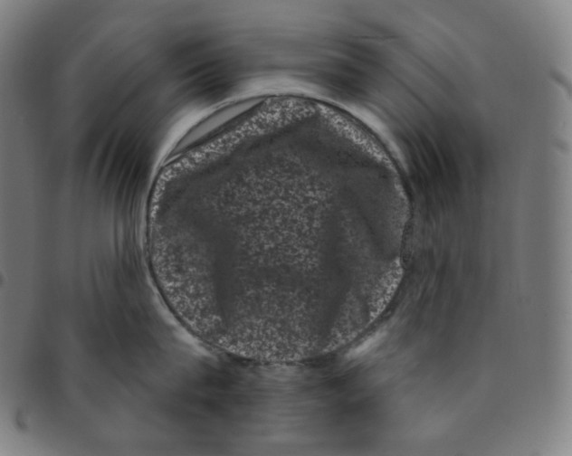 X0000095130815200801041245