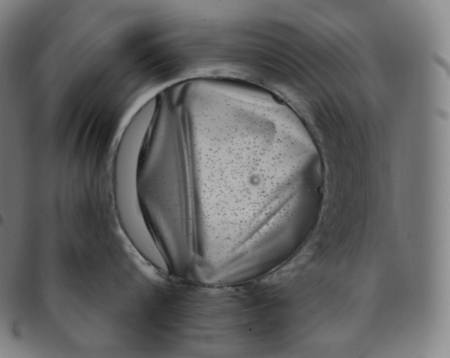 X0000095130816200801041245