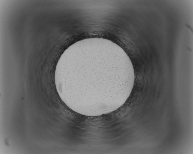 X0000095130817200801041244