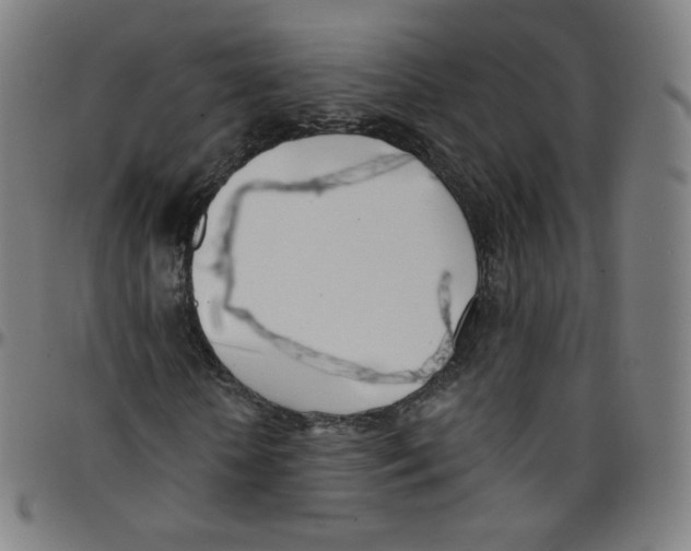 X0000095130818200801041244