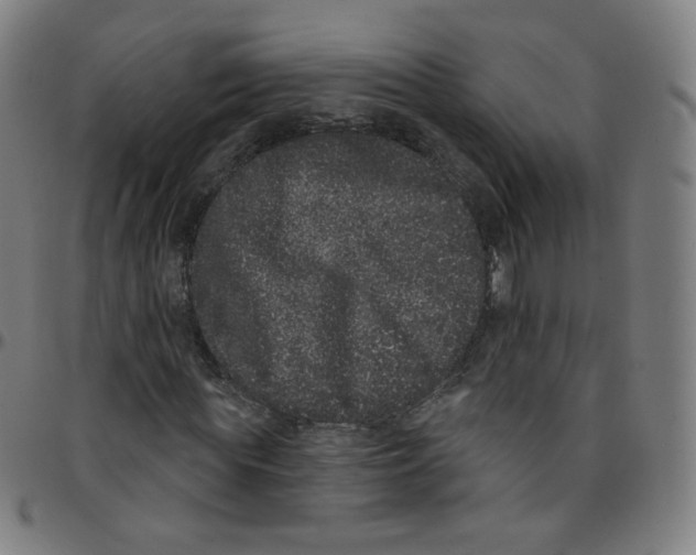 X0000095130819200801041244