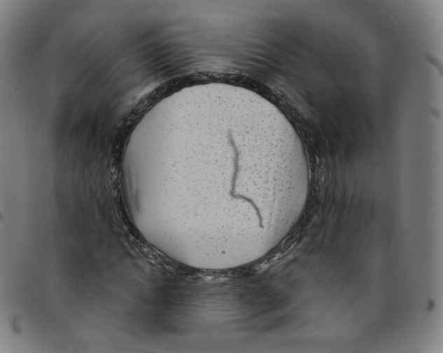 X0000095130822200801041244