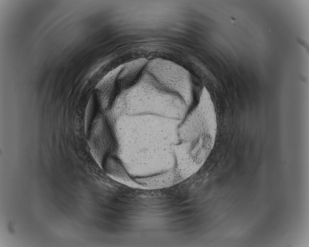 X0000095130823200801041244