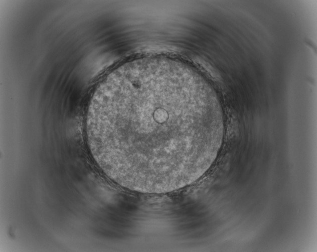 X0000095130824200801041244