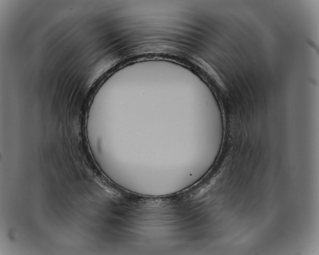 X0000095130826200801041244