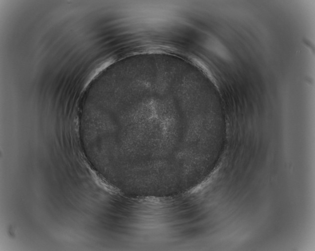 X0000095130827200801041244