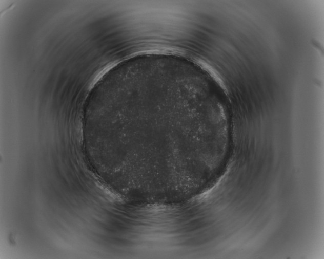 X0000095130829200801041244