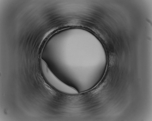 X0000095130830200801041244