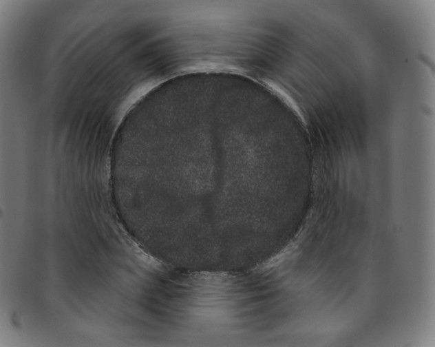 X0000095130831200801041244