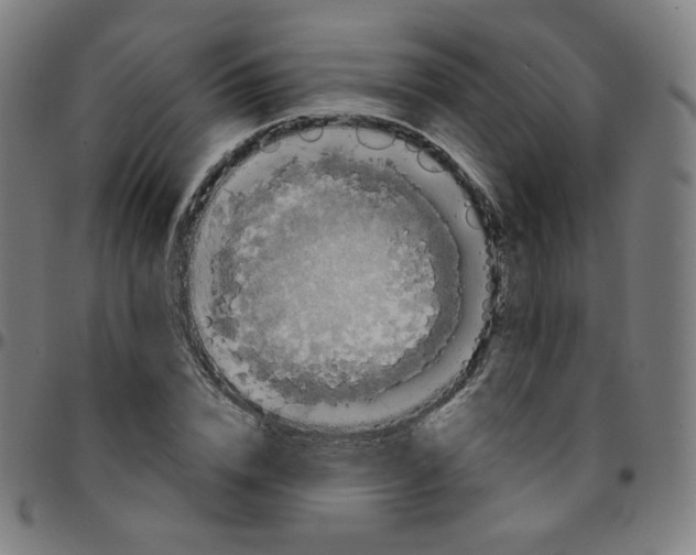 X0000095130832200801041244