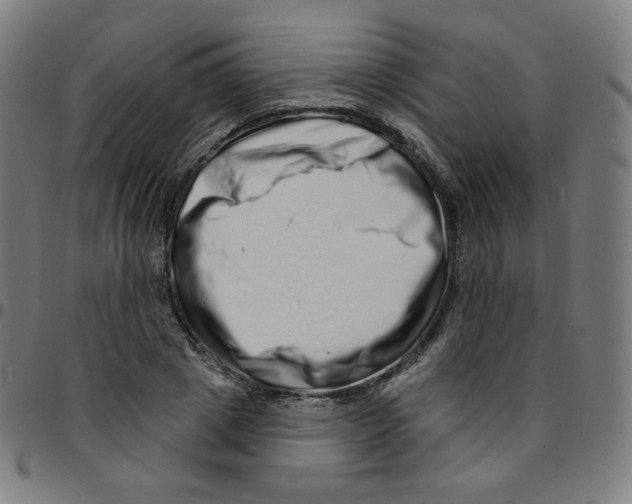 X0000095130833200801041244