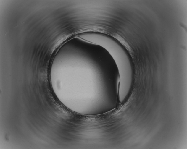 X0000095130834200801041244