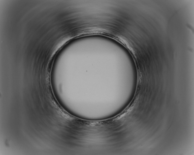 X0000095130835200801041244