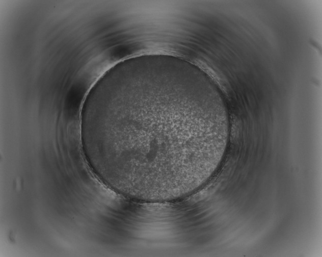 X0000095130836200801041244