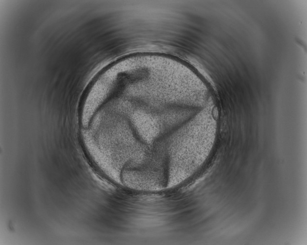 X0000095130837200801041245