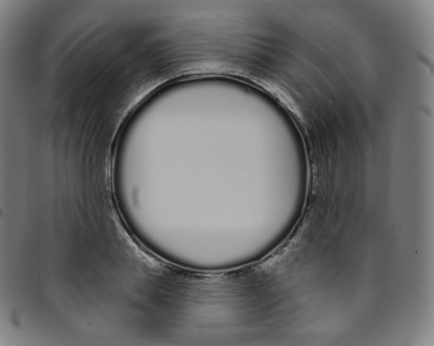 X0000095130839200801041245