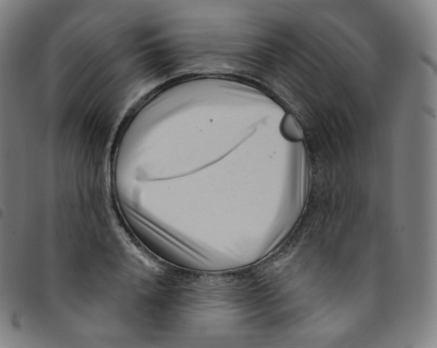 X0000095130840200801041245