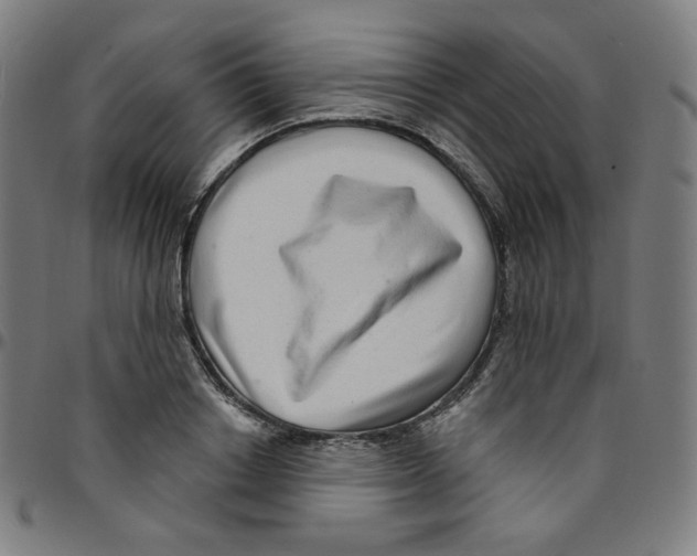 X0000095130842200801041245