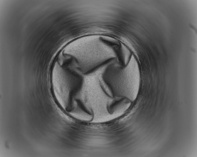 X0000095130843200801041245