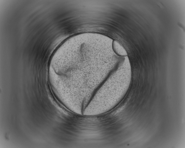 X0000095130844200801041245