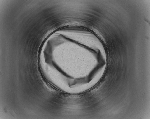 X0000095130845200801041245