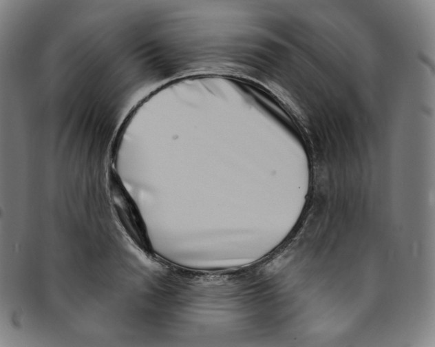 X0000095130846200801041245