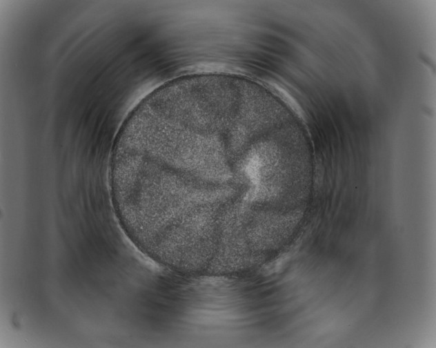 X0000095130847200801041245