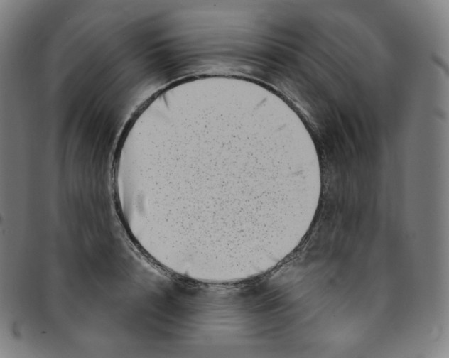 X0000095130848200801041245