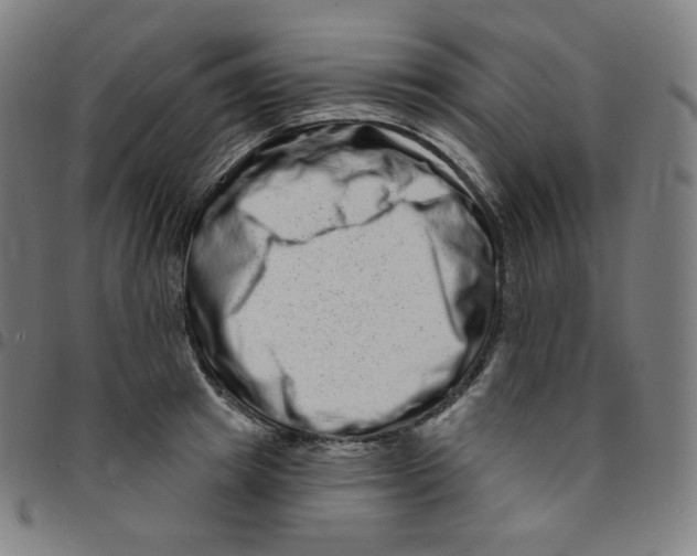 X0000095130849200801041245